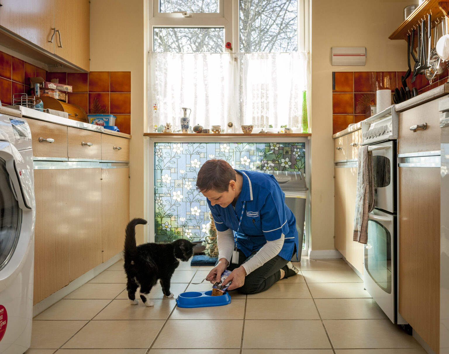 Home Care in Cheshire - Care giver feeding cat
